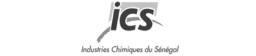 ICS