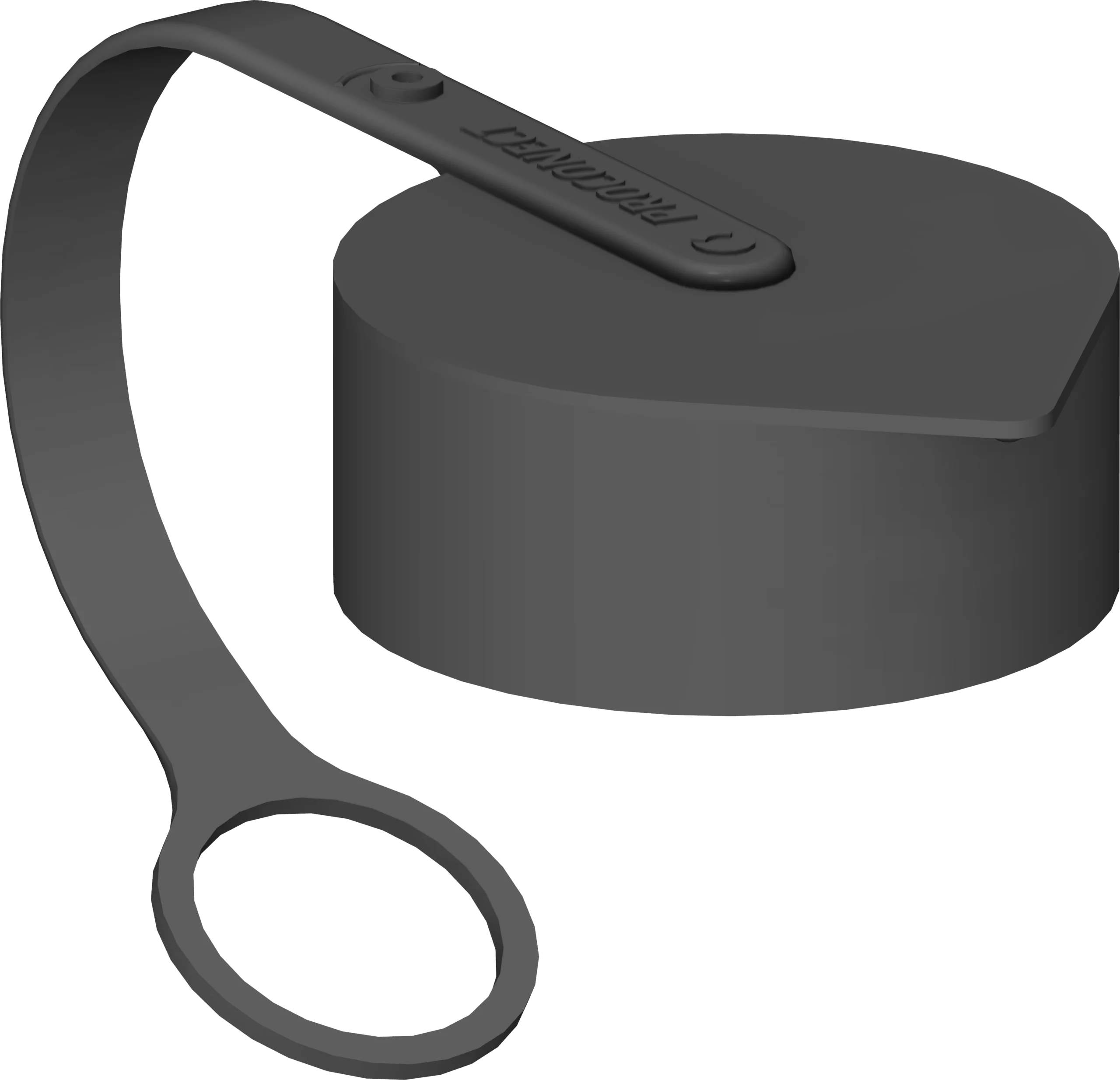 3PS63 plug cap
